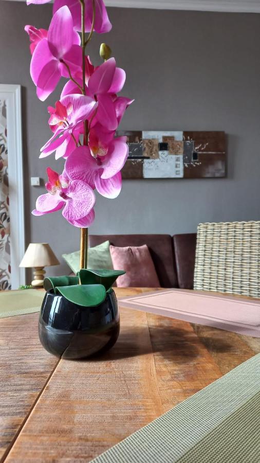 Studios Et Appartements En Centre Ville Boulogne Sur Mer Εξωτερικό φωτογραφία